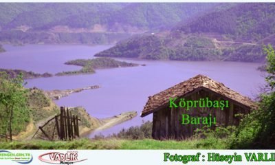 8 Mayıs Günün Fotoğrafı