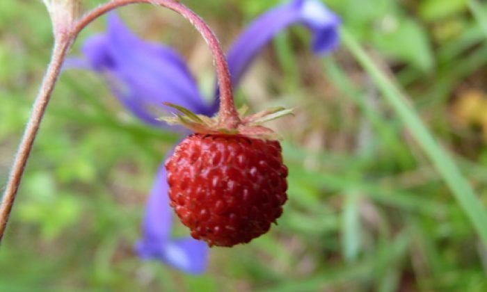 3 Haziran Günün Fotoğrafı