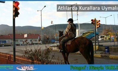 5 Haziran Günün Fotoğrafı
