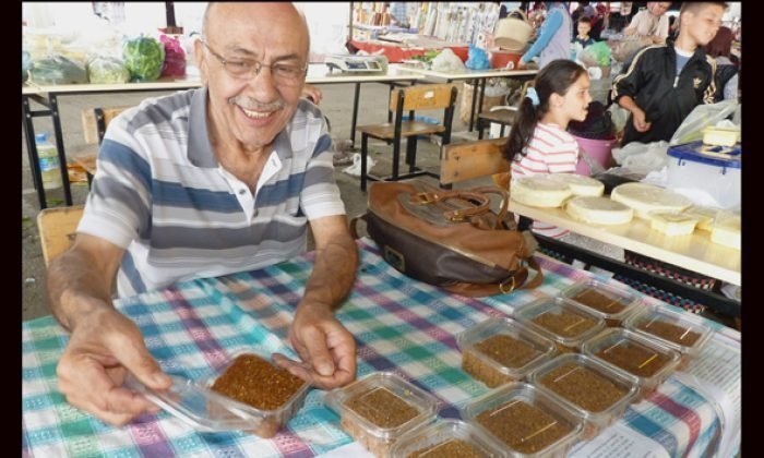 31.Mengen Aşçılık Festivali duyuru (kaynak:TAFED)