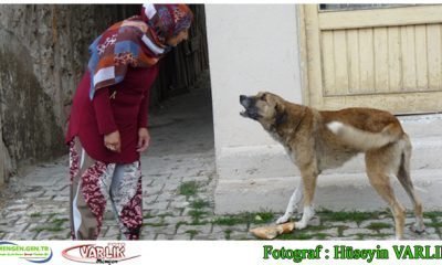 18 Ağustos Günün Fotoğrafı