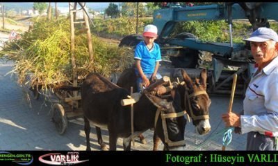 17 Eylül Günün Fotoğrafı
