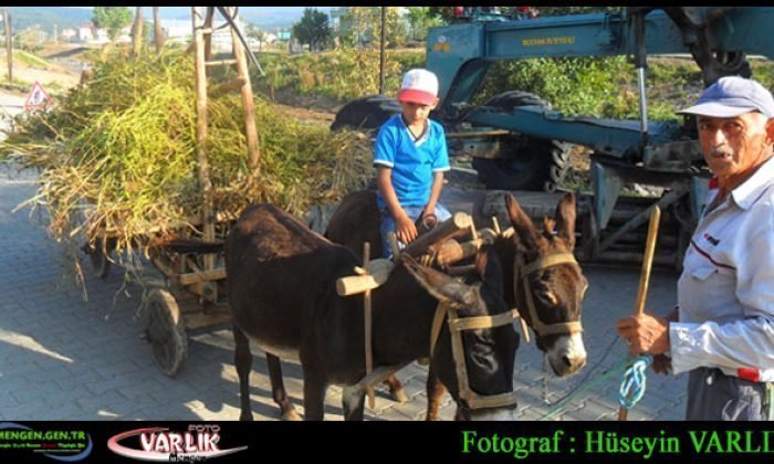 17 Eylül Günün Fotoğrafı