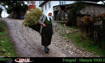 4 Eylül Günün Fotoğrafı