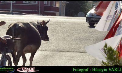 12 Eylül Günün Fotoğrafı