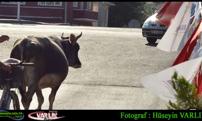 12 Eylül Günün Fotoğrafı