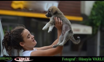 18 Eylül Günün Fotoğrafı