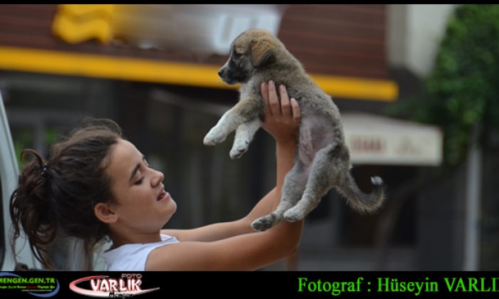 18 Eylül Günün Fotoğrafı