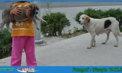 10 Eylül Günün Fotoğrafı