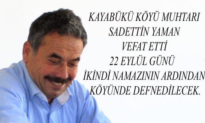 Kayıp Köpek