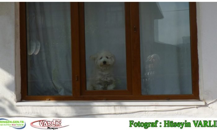 3 Ekim Günün Fotoğrafı
