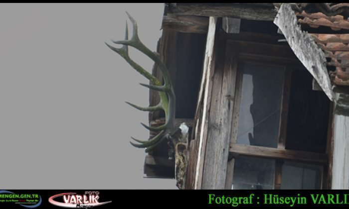 7  Ekim Günün Fotoğrafı