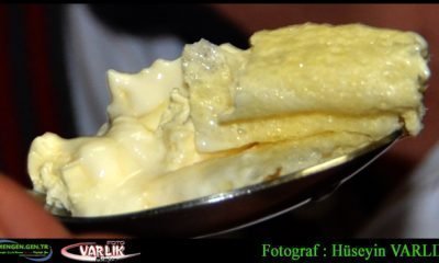 11 Ekim Günün Fotoğrafı