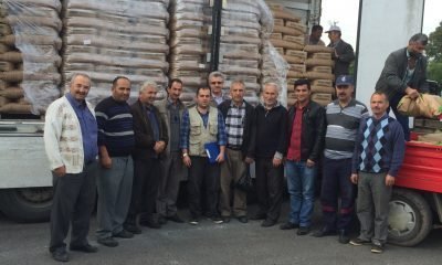 SERTİFİKALI BUĞDAY TOHUMLARI DAĞITILDI