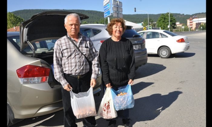 Kanlıca mantarı kapanın elinde kalıyor
