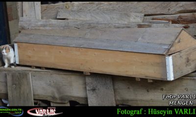 12 Kasım Günün Fotoğrafı