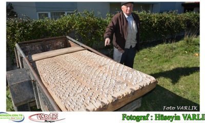 2 Kasım Günün Fotoğrafı