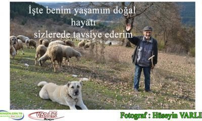 27 Kasım Günün Fotoğrafı
