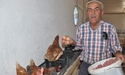 Haberde izleyip yaptı, şimdi para basıyor