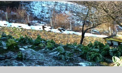 12 Aralık Günün Fotoğrafı