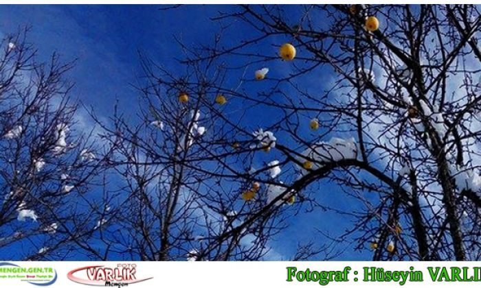 9 Aralık Günün Fotoğrafı