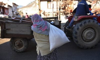 Gökçesu’dan fotoğraflar