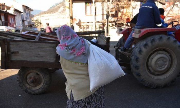 Gökçesu’dan fotoğraflar
