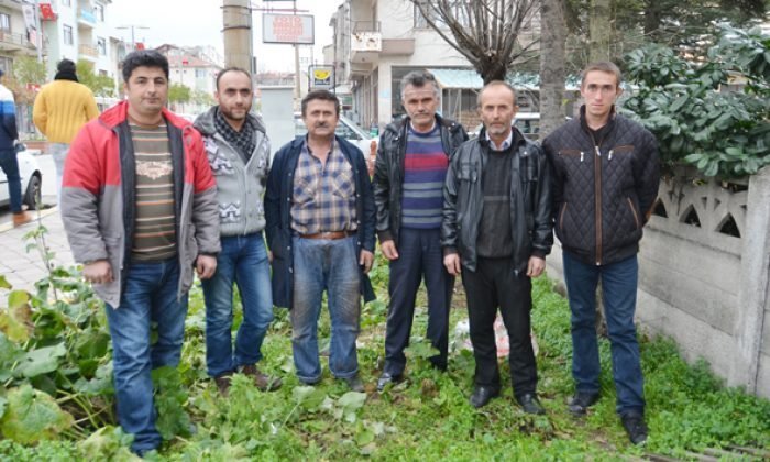 Mengen’den Köy evleri(F.VARLIK)