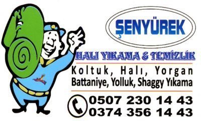 Bu köpeklere yazık değilmi