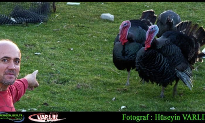 17 Aralık Günün Fotoğrafı