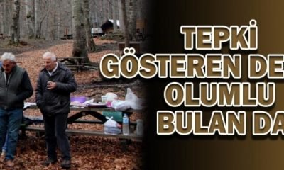 Yedigöllerde Mangal yasağı ilk gün uygulanamadı