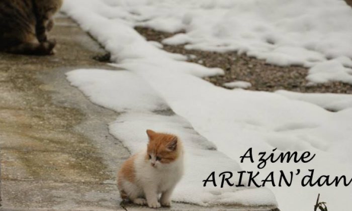 Azime ARIKAN’dan mutlu yıllar Türkiye