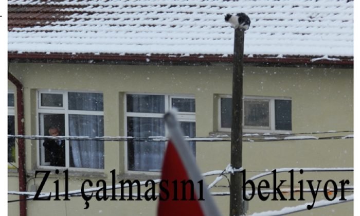 22 Ocak Günün Fotoğrafı