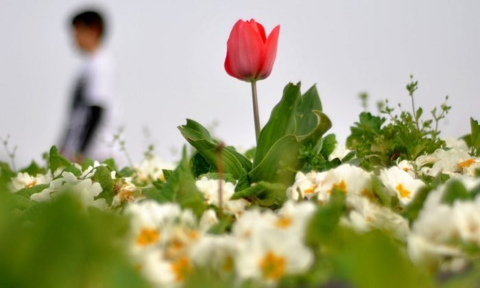 29 Ocak Günün Fotoğrafı