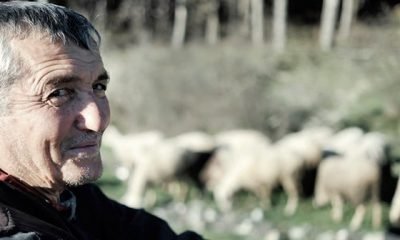 “O Bir” Öğretmen, B. Başkanı ve Hep Çoban
