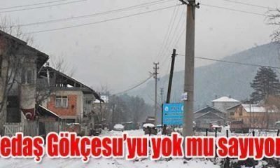 Sedaş Gökçesu’yu yok mu sayıyor?