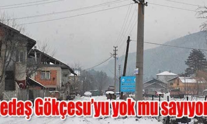 Sedaş Gökçesu’yu yok mu sayıyor?