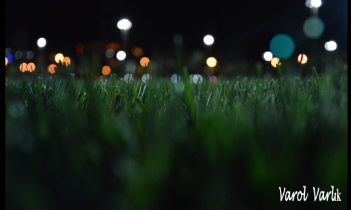 10  Şubat Günün Fotoğrafı