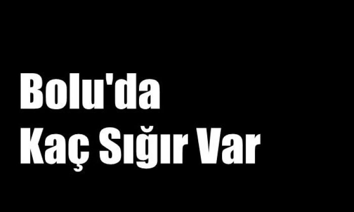 Bolu’da kaç sığır var ?