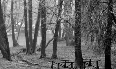 13 Şubat Günün Fotoğrafı