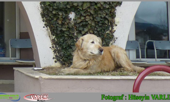 22 Şubat Günün Fotoğrafı