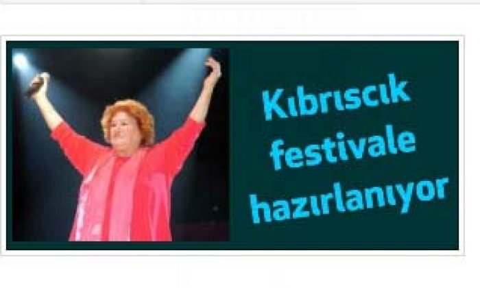 Kıbrıscık festivale hazırlanıyor