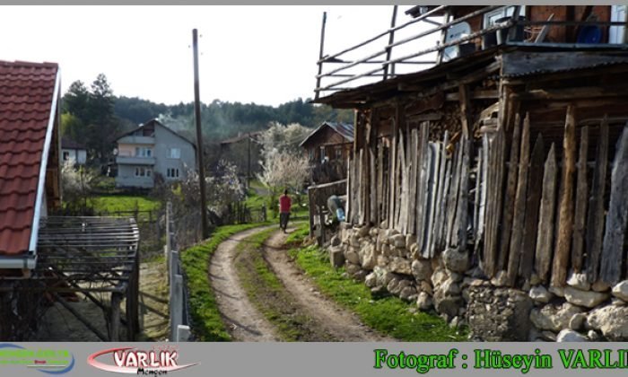20 Mart günün fotoğrafı