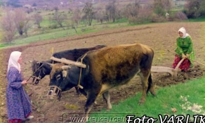 Analarımız,Bacılarımız,Kadınlarımız Gününüz Kutlu Olsun