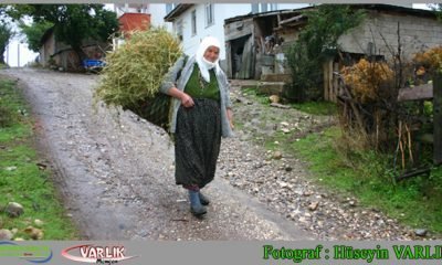 11 Nisan günün fotoğrafı