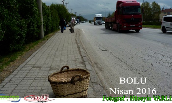 17 Nisan günün fotoğrafı