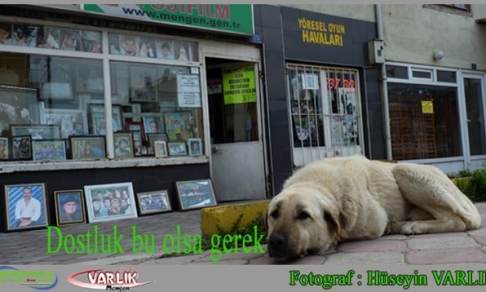 7 Nisan günün fotoğrafı