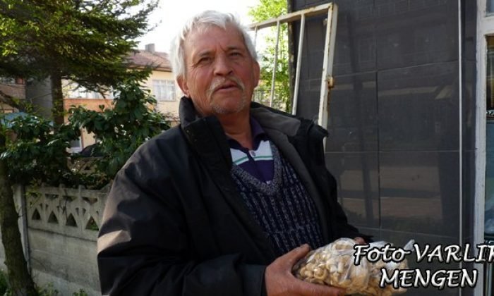 Aydın Cincile mantar sezonunu açtı