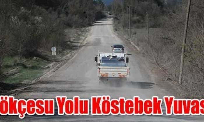 Gökçesu Yolu Köstebek Yuvası