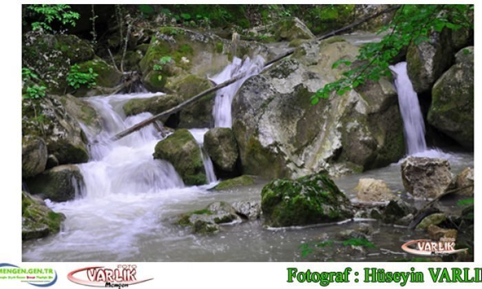16 Mayıs günün fotoğrafı